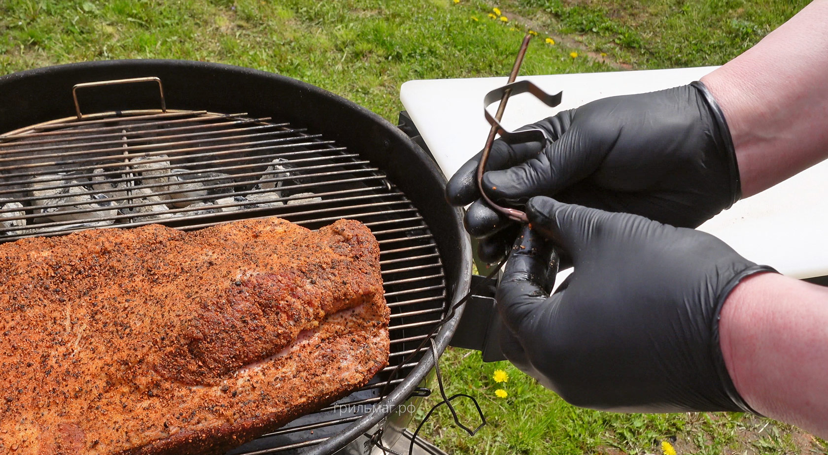 Термометры для гриля: профилактика неисправностей щупов щуп для решетки гриля в руках