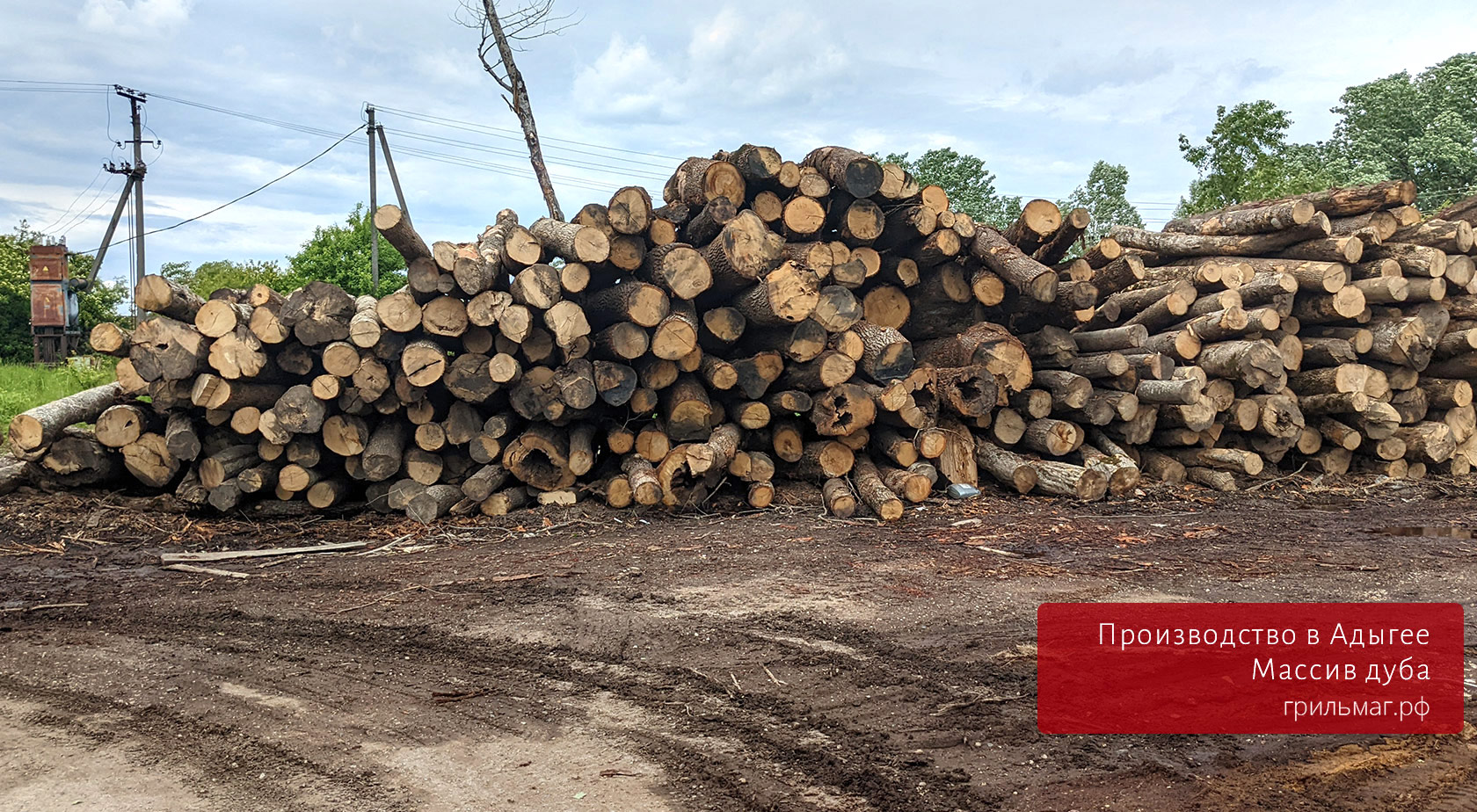 Пеллеты для гриля Shemzer: преимущества много бревен