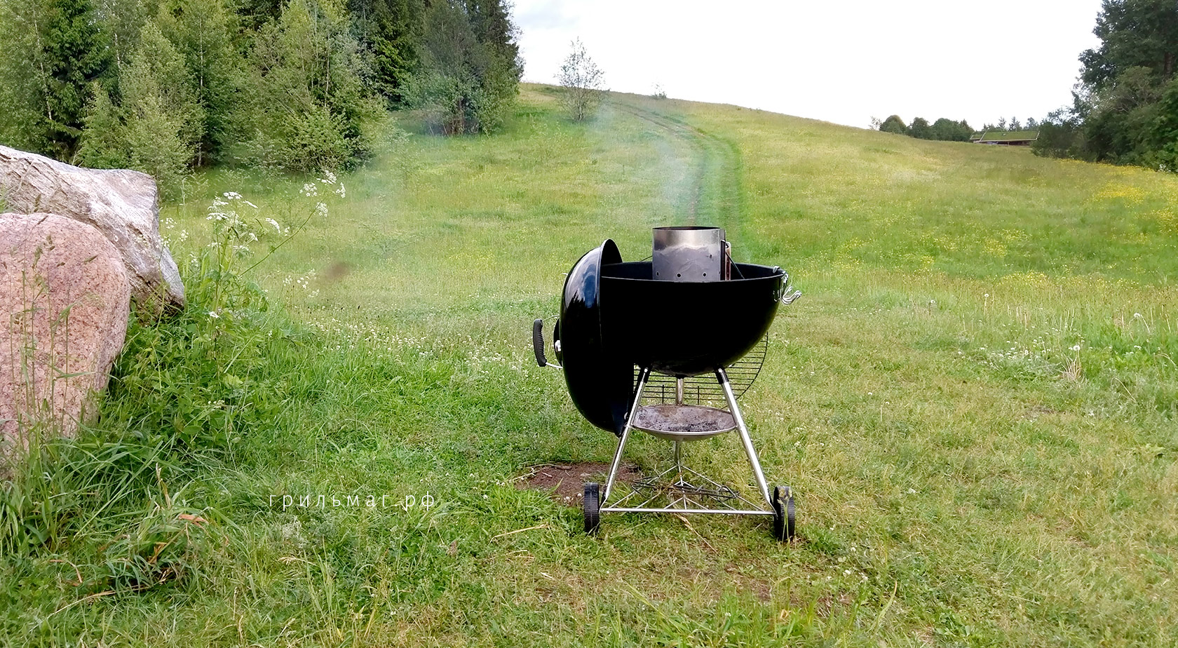 Какой гриль лучше купить как первый? вебер оригинал кеттл на природе
